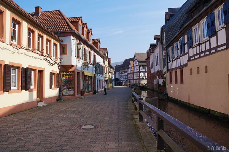 Annweiler am Trifels