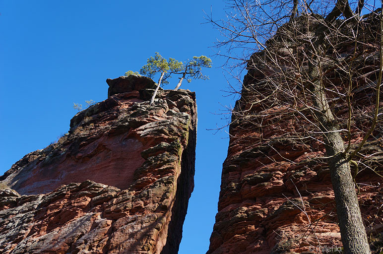 Annweiler am Trifels