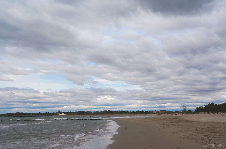 La Tamarissière - France