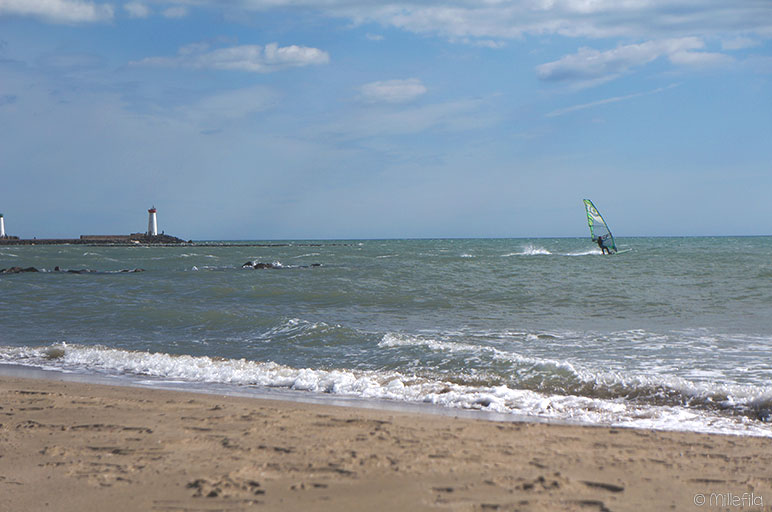 La Tamarissière - France