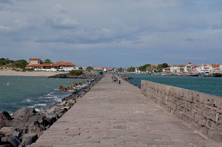 La Tamarissière - France