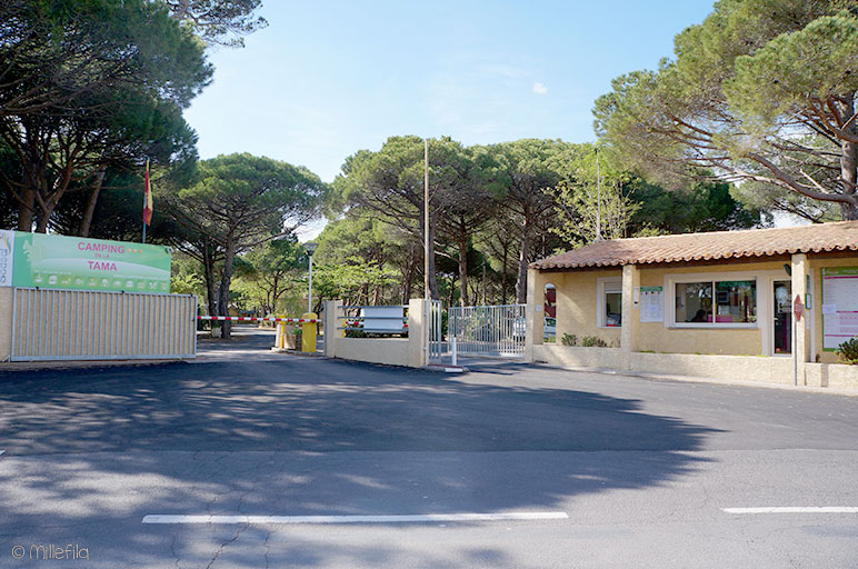 La Tamarissière - France